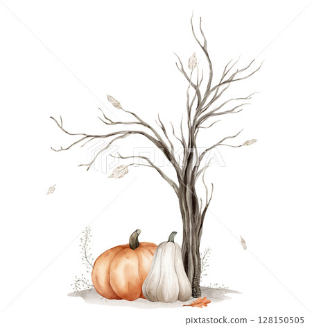 Watercolor illustration Tree without leaves silhouette and pumpkins isolated on white background. Brown dry straight twig or Trees for Halloween with autumn leaves and grey earth. Minimalist style. 128150505