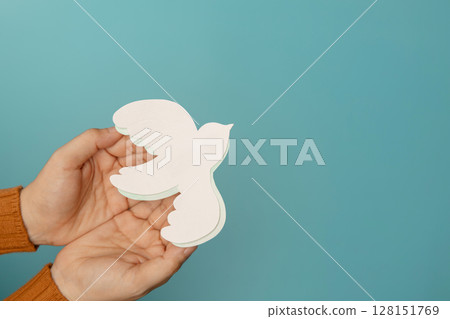 Hands gently holding white dove symbolizing peace, Freedom, harmony, human rights, and anti-violence values 128151769