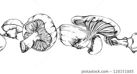 Bolete cep russula suillus mushroom fungi, autumn forest harvest, edible raw ingredient for vegan cooking. Seamless banner header hand drawn in vector ink. Menu list accents, farmers market wrapping 128151885