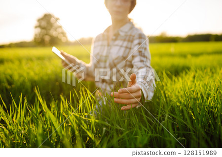 Technology of modern agriculture. Harvesting. Concept of ecology, gardening. 128151989
