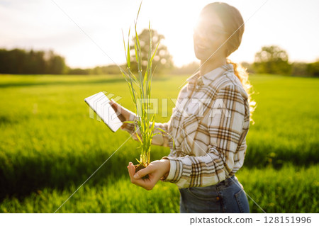 Technology of modern agriculture. Harvesting. Concept of ecology, gardening. 128151996