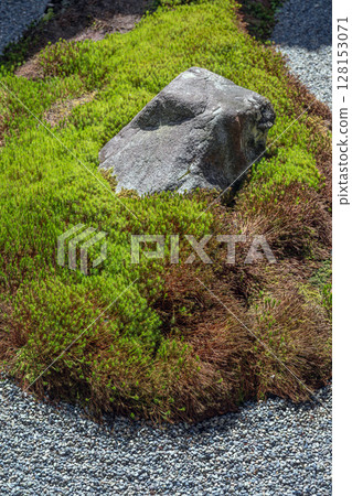 Mossy garden stones 128153071