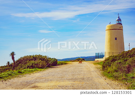 Carbonera lighthouse, Punta Mala, La Alcaidesa, Spain. Carbonera lighthouse, Punta Mala, La Alcaidesa, Spain. 128153301