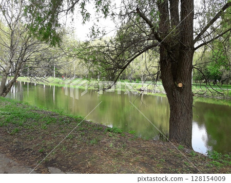A Tranquil Lakeside Scene with a Calm Water Body Flanked by Trees and Reflective Surface A Tranquil Lakeside Scene with a Calm Water Body Flanked by Trees and Reflective Surface 128154009