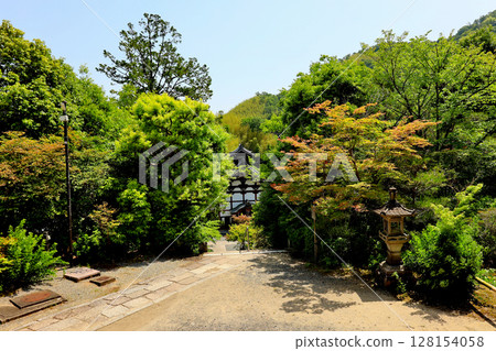 光明寺、西山淨土宗本寺、庭園 128154058