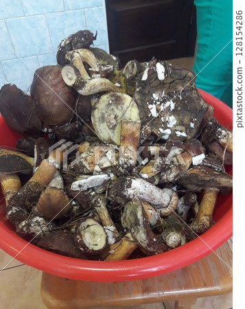 Rustic Red Basket Filled with Freshly Harvested Mushrooms on a Wooden Surface Rustic Red Basket Filled with Freshly Harvested Mushrooms on a Wooden Surface 128154286