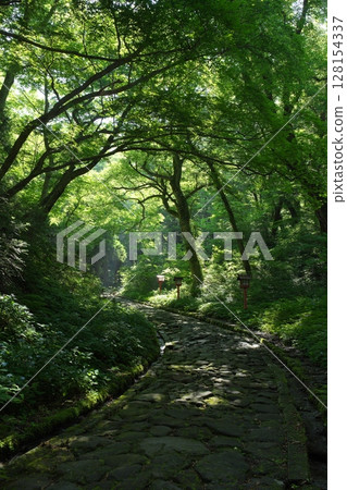 鳥取縣山隱岐國立公園大神山神社的參拜道路 128154337