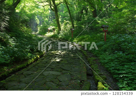 The approach to Ogamiyama Shrine in Daisen-Oki National Park, Tottori Prefecture 128154339