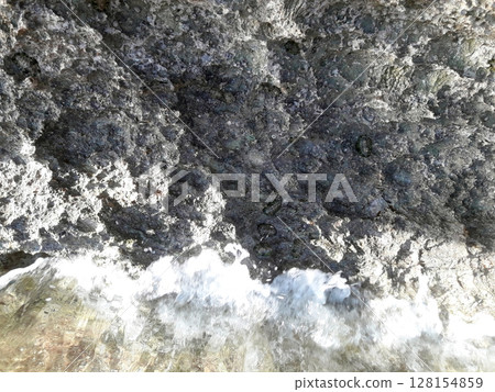Rocky Seabed with Small Crab and Marine Growth in Shallow Coastal Waters Rocky Seabed with Small Crab and Marine Growth in Shallow Coastal Waters 128154859