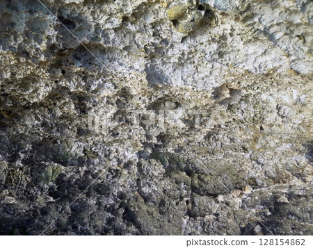 Close Up of Coral Reef Surface with Embedded Shells and Organic Growth in Shallow Waters Close Up of Coral Reef Surface with Embedded Shells and Organic Growth in Shallow Waters 128154862