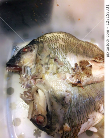 Boiled fish placed on a white tray, showing its scales, fins, and open mouth, the fish is cooked, with visible changes in texture and color 128155331