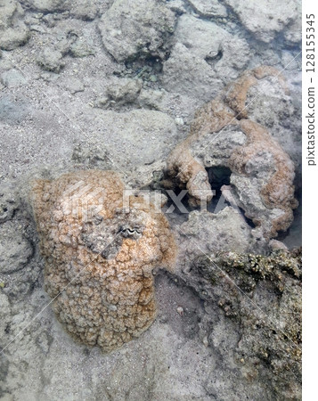 A captivating underwater scene featuring unique rock formations, sandy ocean floor, and mysterious marine life in a serene aquatic environment 128155345