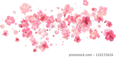 Delicate light pink sakura flowers flow. Wind swirls 128155626