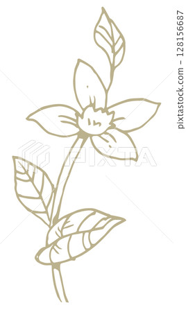 Flower sketch material. Vector illustration material. 128156687