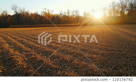 Autumn Sunset over Harvested Soybean Field 128156792
