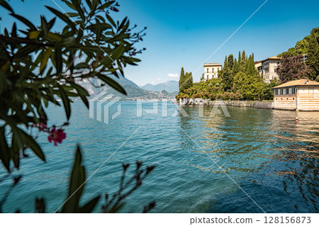 Lush Botanical Garden of Villa Monastero Overlooking Lake Como: Elegant Historic Estate Surrounded by Mediterranean Flora and Alpine Scenery 128156873