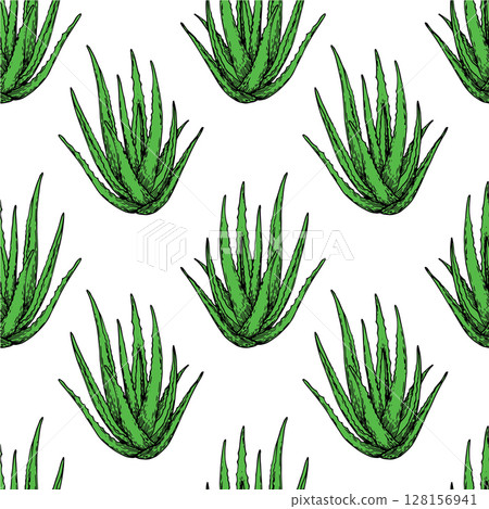 seamless pattern with green aloe vera, vector pattern in sketch style. natural cosmetic 128156941