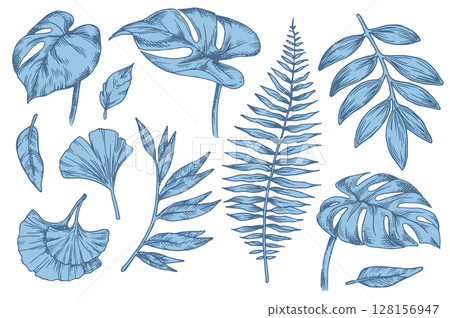 Set of blue tropical forest leaves. Vector illustration in sketch style. 128156947