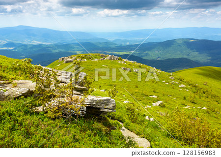 wonderful mountain landscape for travel with green hill in summer. nature scenery with scenic view in to the distant valley of carpathians in dappled light. hiking through transcarpathia highland 128156983