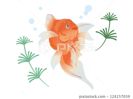 金魚游泳的插圖 128157039