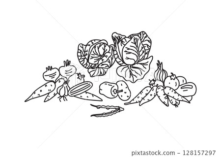 Set Line art botanical different vegetables isolated on white background. Hand drawn cartoon outline veggies with Cabbage Carrot Peas Pepper Onion Tomato vector illustration. Graphic design elements 128157297