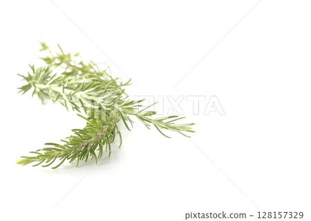 Rosemary leaves photographed against a white background Rosemary leaves photographed against a white background 128157329