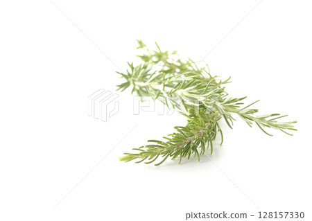Rosemary leaves photographed against a white background 128157330