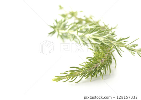 白色背景下拍攝的迷迭香葉 128157332