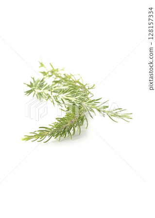 Rosemary leaves photographed against a white background 128157334