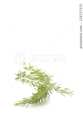 Rosemary leaves photographed against a white background 128157335