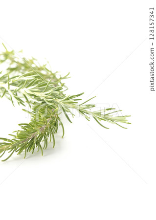 Rosemary leaves photographed against a white background Rosemary leaves photographed against a white background 128157341