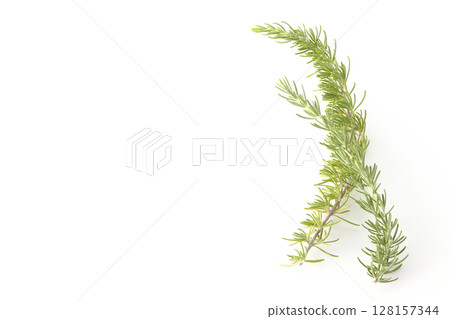 Rosemary leaves photographed against a white background 128157344