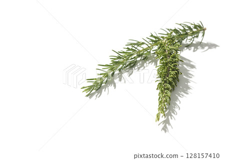 Rosemary leaves photographed against a white background Rosemary leaves photographed against a white background 128157410