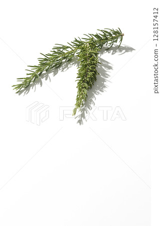 Rosemary leaves photographed against a white background 128157412