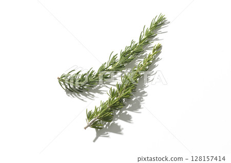 Rosemary leaves photographed against a white background 128157414