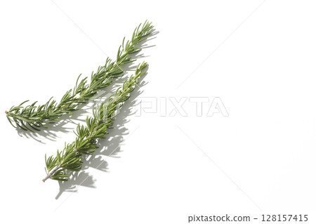 白色背景下拍攝的迷迭香葉 白色背景下拍攝的迷迭香葉 128157415