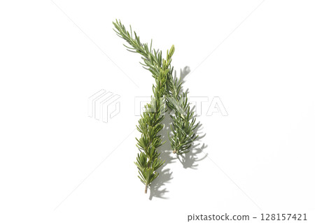 Rosemary leaves photographed against a white background Rosemary leaves photographed against a white background 128157421