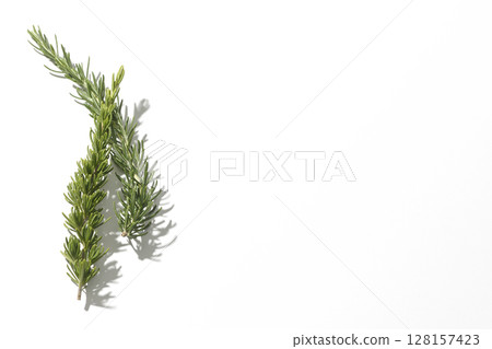 Rosemary leaves photographed against a white background 128157423