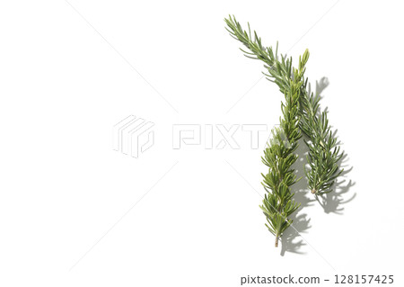 Rosemary leaves photographed against a white background Rosemary leaves photographed against a white background 128157425