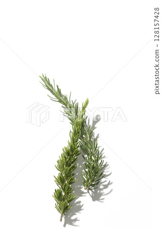 Rosemary leaves photographed against a white background Rosemary leaves photographed against a white background 128157428