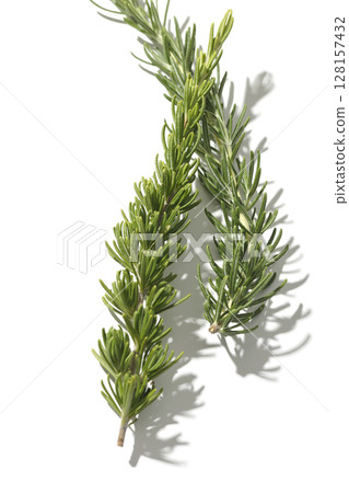 Rosemary leaves photographed against a white background 128157432