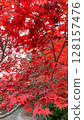 粉紅色的秋葉 128157476