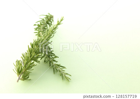 只拍迷迭香葉 128157719
