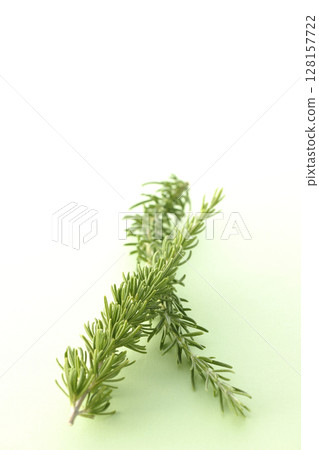 Photographing only rosemary leaves 128157722