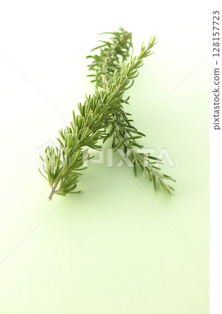 只拍迷迭香葉 128157723