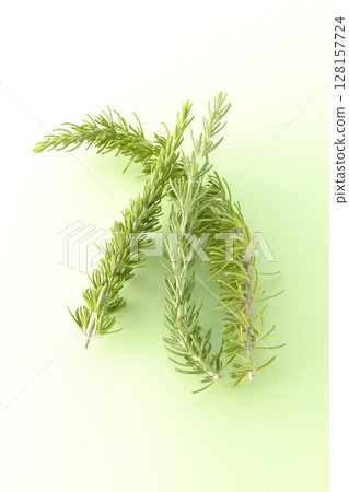 只拍迷迭香葉 只拍迷迭香葉 128157724