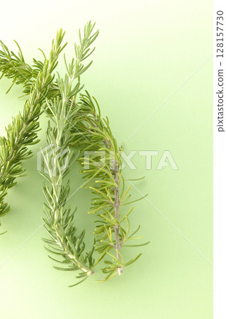 只拍迷迭香葉 128157730