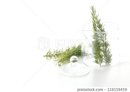 白色背景下拍攝的茶壺和迷迭香葉 白色背景下拍攝的茶壺和迷迭香葉 128158459
