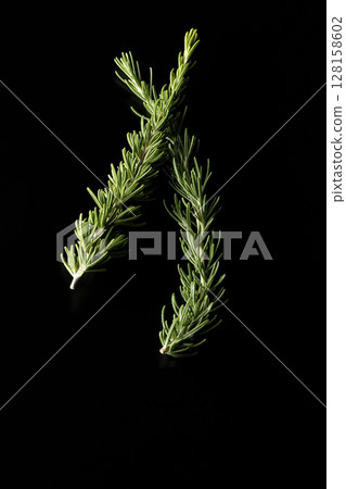 Rosemary leaves photographed against a black background 128158602