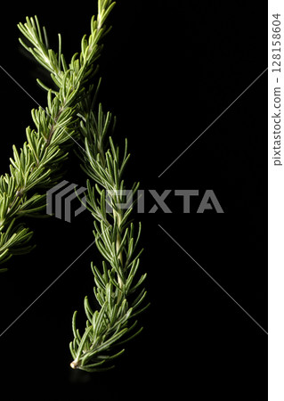 Rosemary leaves photographed against a black background Rosemary leaves photographed against a black background 128158604